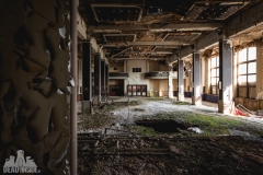 brown ballroom, abandoned ballroom, germany, opuszczona sala balowa, urbex, abandoned (4 of 4)